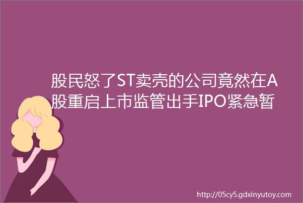 股民怒了ST卖壳的公司竟然在A股重启上市监管出手IPO紧急暂停