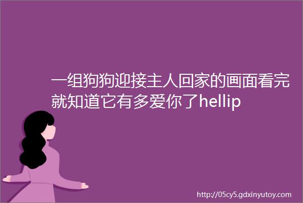 一组狗狗迎接主人回家的画面看完就知道它有多爱你了hellip