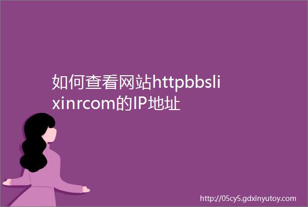 如何查看网站httpbbslixinrcom的IP地址