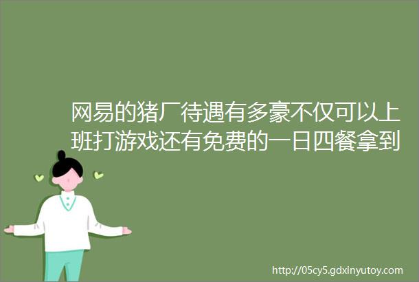 网易的猪厂待遇有多豪不仅可以上班打游戏还有免费的一日四餐拿到手工资居然有内含网易求职福利