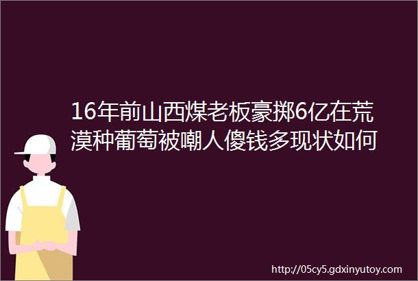 16年前山西煤老板豪掷6亿在荒漠种葡萄被嘲人傻钱多现状如何