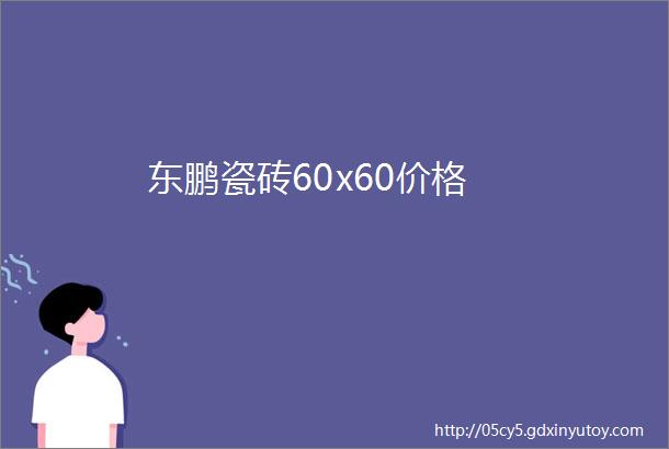 东鹏瓷砖60x60价格